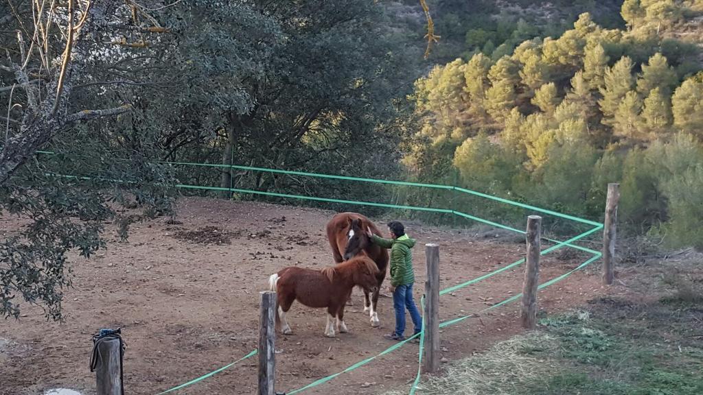 Rellinars Masia Casajoana Rural מראה חיצוני תמונה