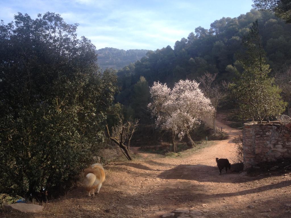Rellinars Masia Casajoana Rural מראה חיצוני תמונה