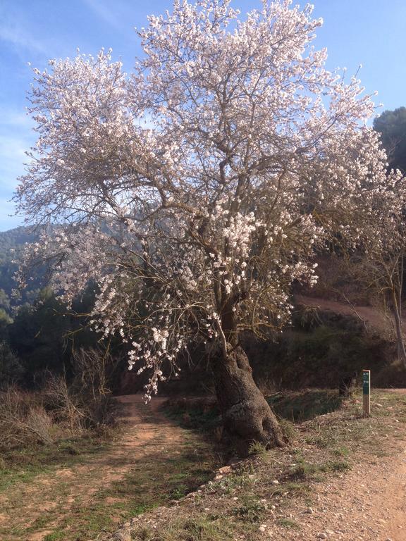 Rellinars Masia Casajoana Rural מראה חיצוני תמונה