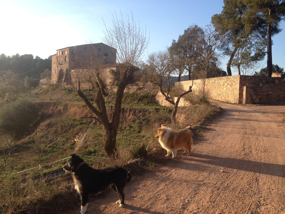 Rellinars Masia Casajoana Rural מראה חיצוני תמונה