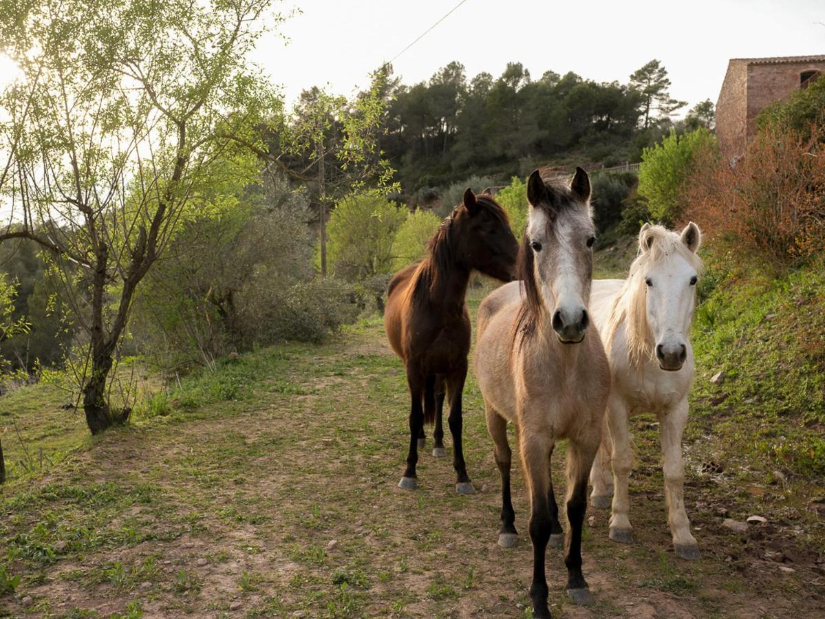 Rellinars Masia Casajoana Rural מראה חיצוני תמונה